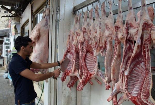 الزراعة تتخذ إجراءات للحد من ارتفاع أسعار اللحوم ومنتجات الألبان